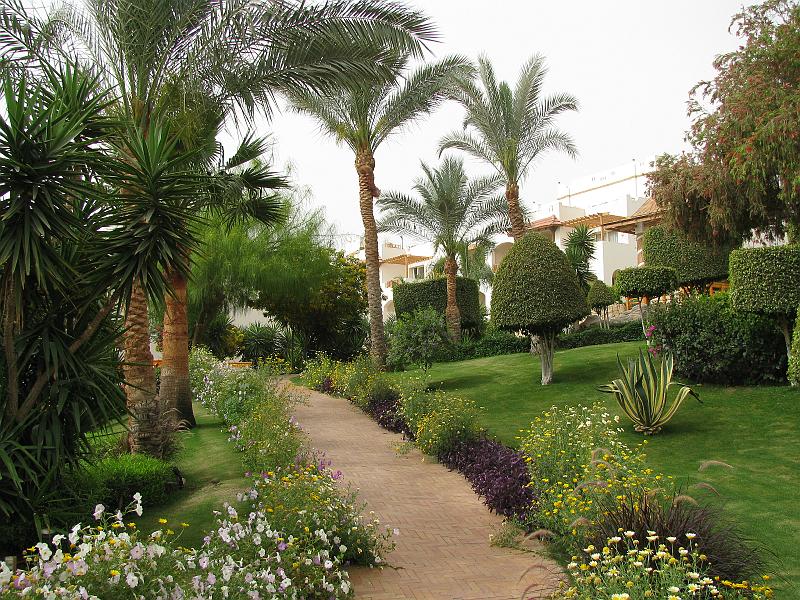 Sharm-el-Sheikh 018.jpg - Egypt - Sharm-el-Sheikh
Hotel Ibero Grand Sharm